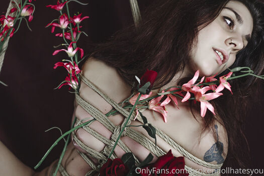 Lauretta 1 image
