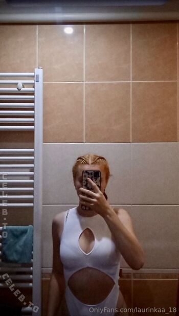 Laurinkaa page 2 image