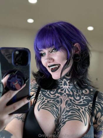Lavender Daydream