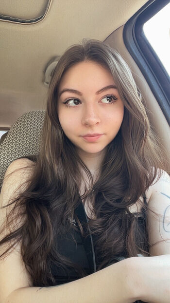 Laylubug image