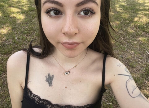 Laylubug image
