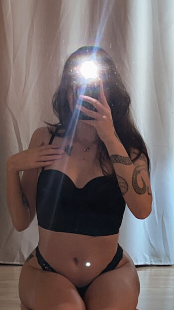 Laylubug image