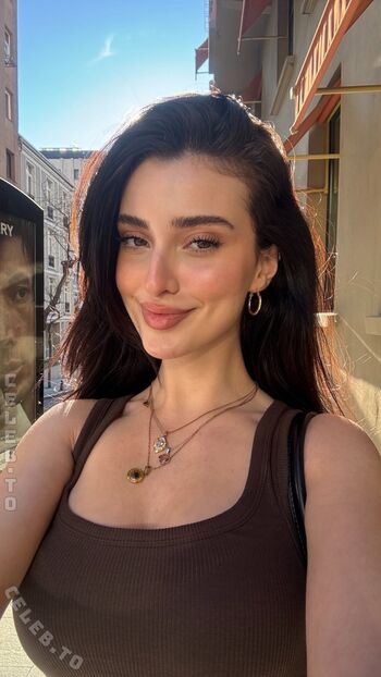 Laytugce image