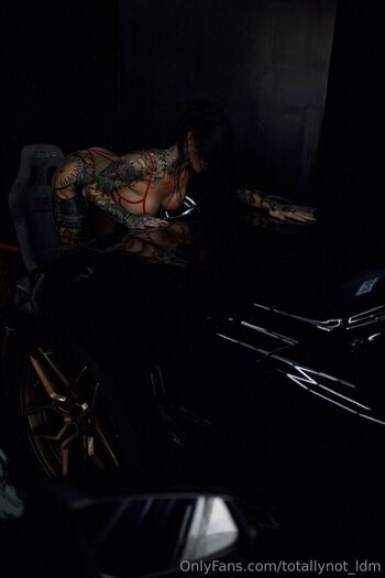 Ldmfitmodel image