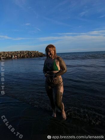 Lenaa stk 1 page 3 image