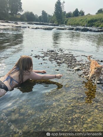 Lenaa stk 1 page 2 image