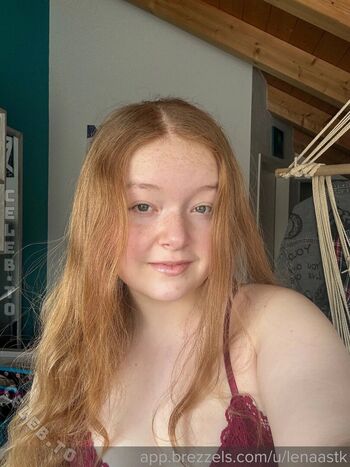 Lenaa stk 1 page 2 image