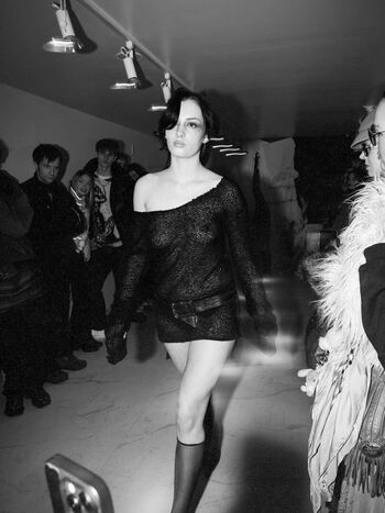 Lilarosepalaza image