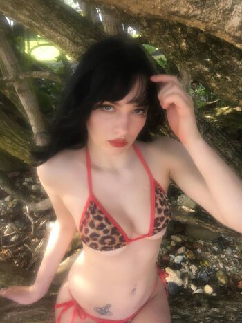 Lilarosepalaza image