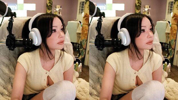 Lilchiipmunk image