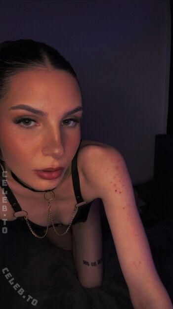 Lilly schmiede image
