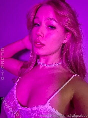Lillyslittlepalace image