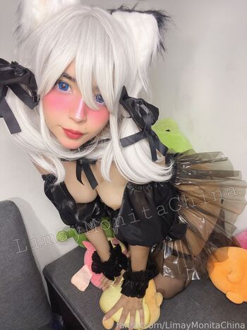 Limaymonitachina image