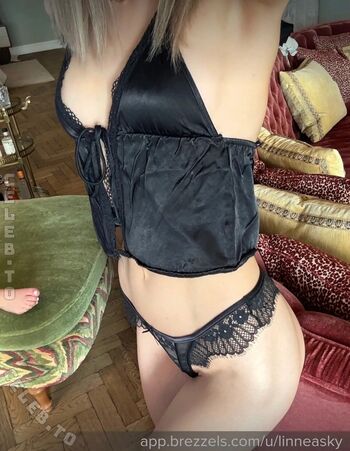 Linneasky 1 page 2 image