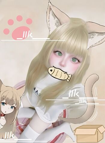 Llk page 2 image