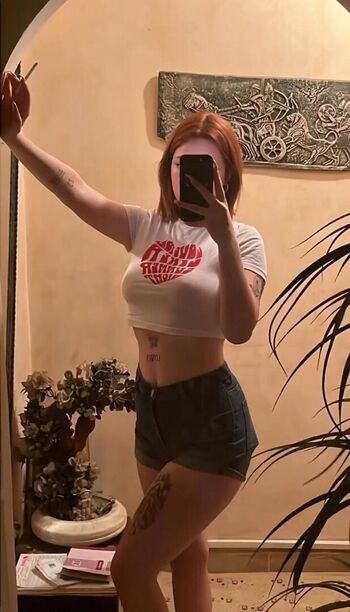 Lmerveseln page 2 image