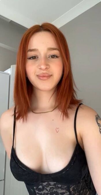 Lmerveseln page 2 image