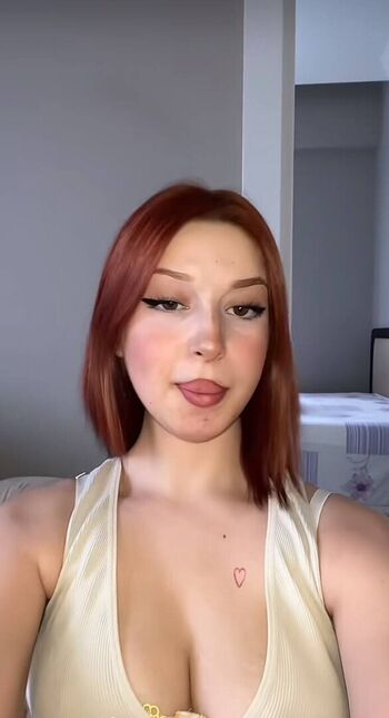 Lmerveseln page 2 image