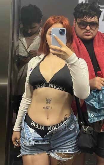 Lmerveseln page 2 image