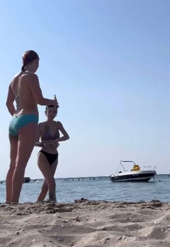 Lmerveseln page 2 image