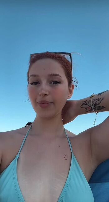 Lmerveseln page 2 image