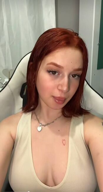 Lmerveseln page 2 image