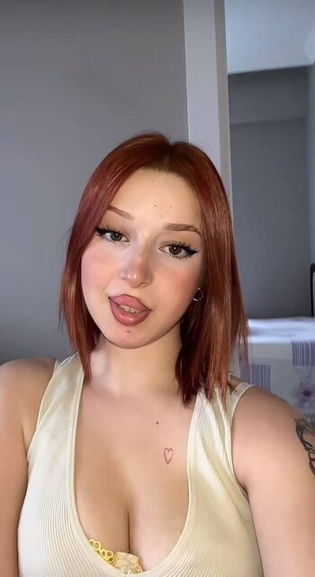 Lmerveseln page 2 image