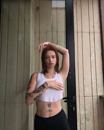 Lmerveseln page 2 image