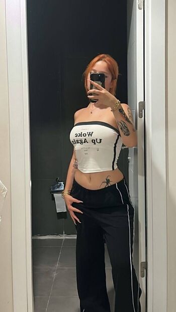 Lmerveseln page 2 image