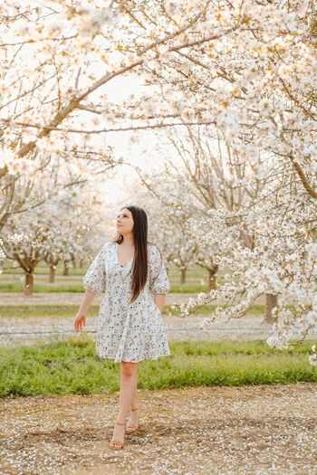 Loovee seeniaa image