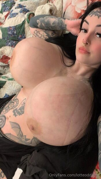 Lotteoddities image
