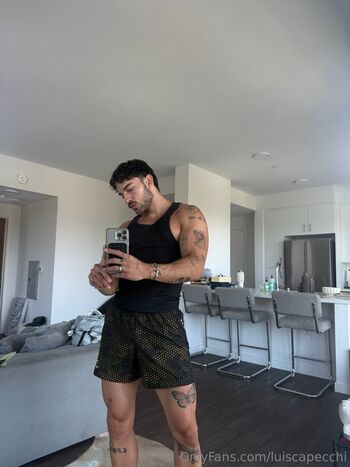 luiscapecchi