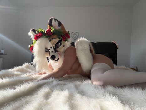 Lunarifox image