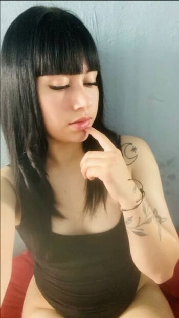 Lunasanchez image