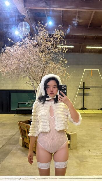 Lydiaren page 2 image