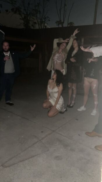 Lydiaren page 2 image