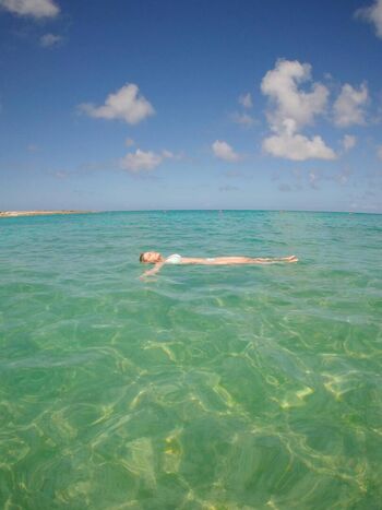 Lyndalessandro 1 image