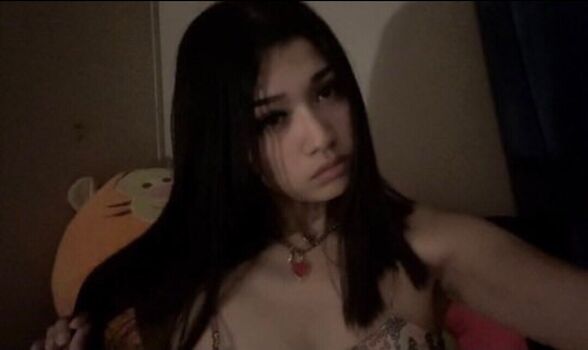 Lynsel image