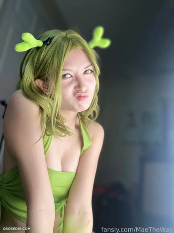 Maetheway page 2 image