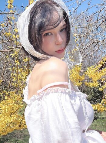 Maimy nyan image