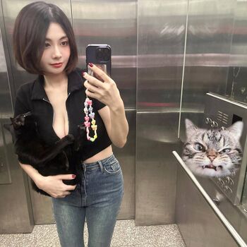 Maipei1 page 2 image