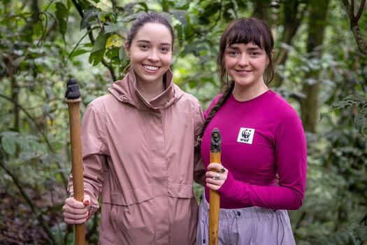 Maisie williams image