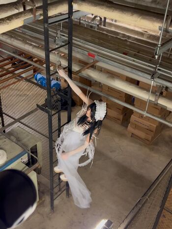 Males are not cancelled image