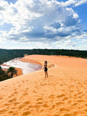 Mari bianchini image