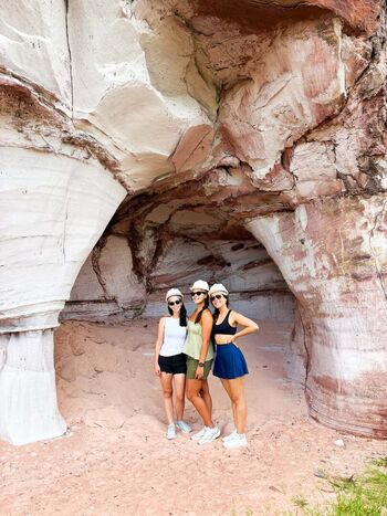 Mari bianchini image