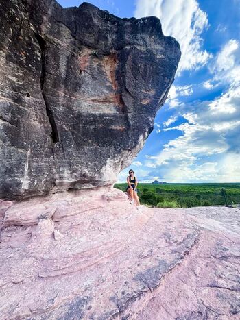 Mari bianchini image