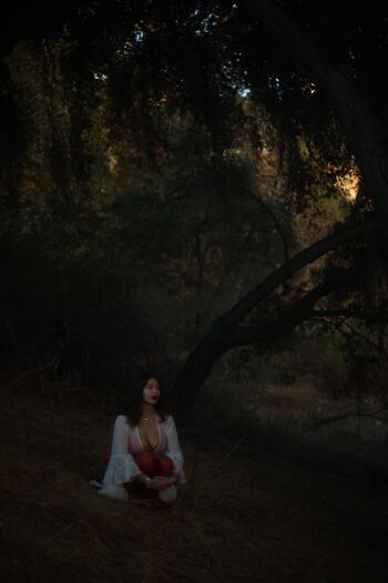 Mariposacanela333 image