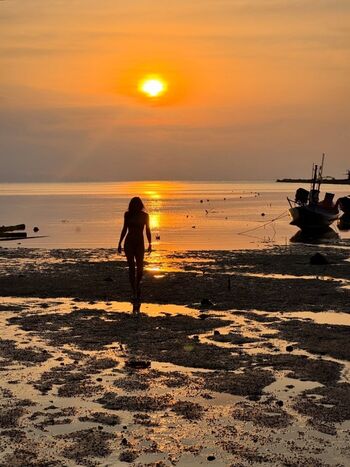 Maureen montagne miss globe 2021 image