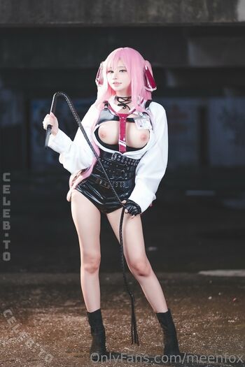 Meenfox image
