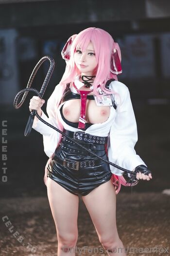 Meenfox image